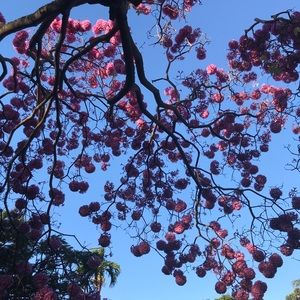 Meet your Posher, Leilani